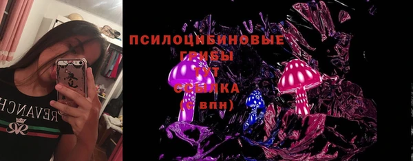 дживик Каменка
