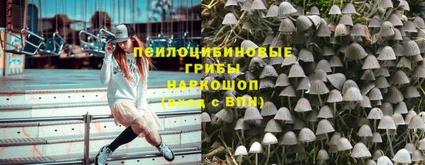 крисы Инсар