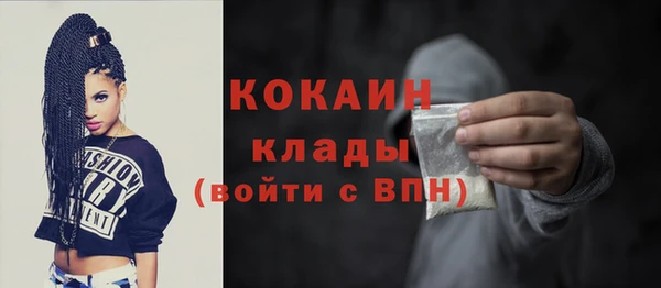 дживик Каменка