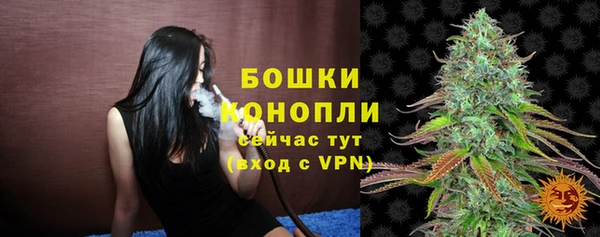 дживик Каменка